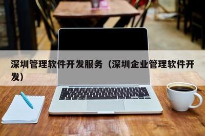 深圳管理軟件開發(fā)服務 滿足現(xiàn)代企業(yè)需求的全面解決方案