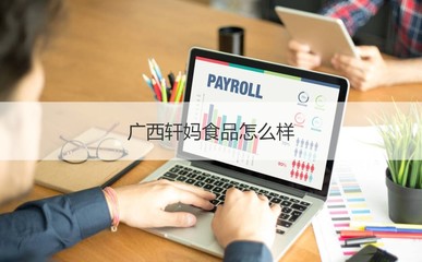 廣西軒媽食品公司概覽 工作時間、發(fā)展與計算機軟硬件業(yè)務